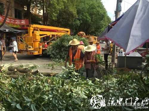 漢中市區(qū)一棵10米大樹突然傾倒，刮倒高壓線，所幸無人傷亡