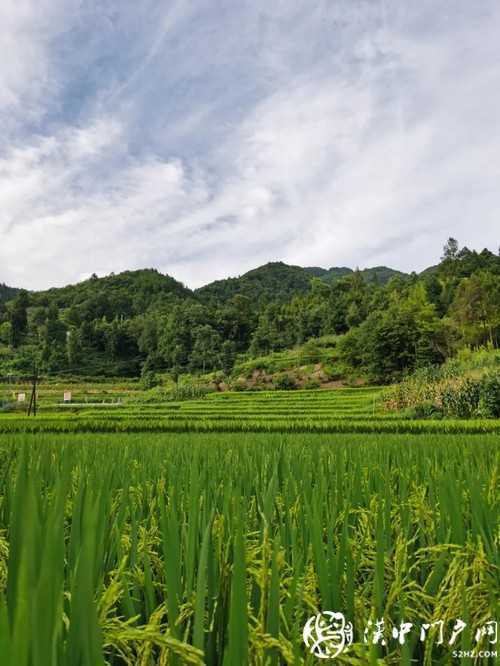 產(chǎn)業(yè)扶貧為鎮(zhèn)巴梅坡村插上騰飛的翅膀