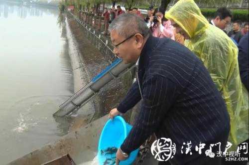 漢臺區(qū)愛心放流，40萬尾魚寶寶漢江“安家”