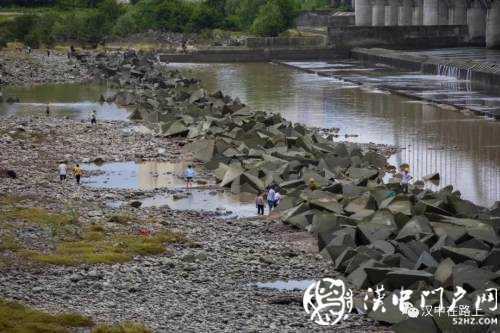 汛期漢中三號橋河灘撈魚，真的沒有危險嗎？