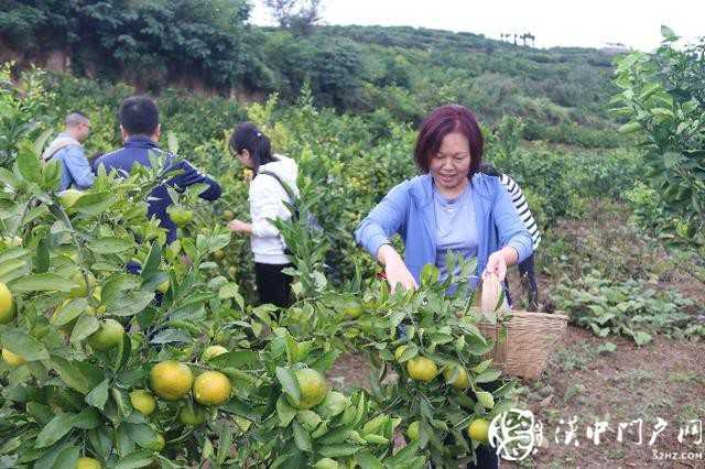 漢中市醫(yī)保局聯(lián)合開展消費扶貧和團隊建設(shè)活動