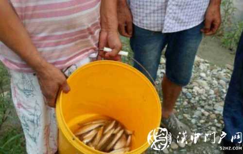 三人在河道非法電魚，被寧強(qiáng)民警抓個(gè)正著