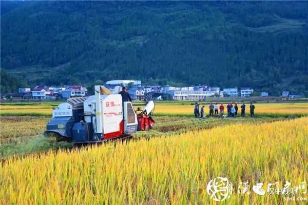 撒花！我市七家企業(yè)通過GAP認證，拿到通行全球“護照”