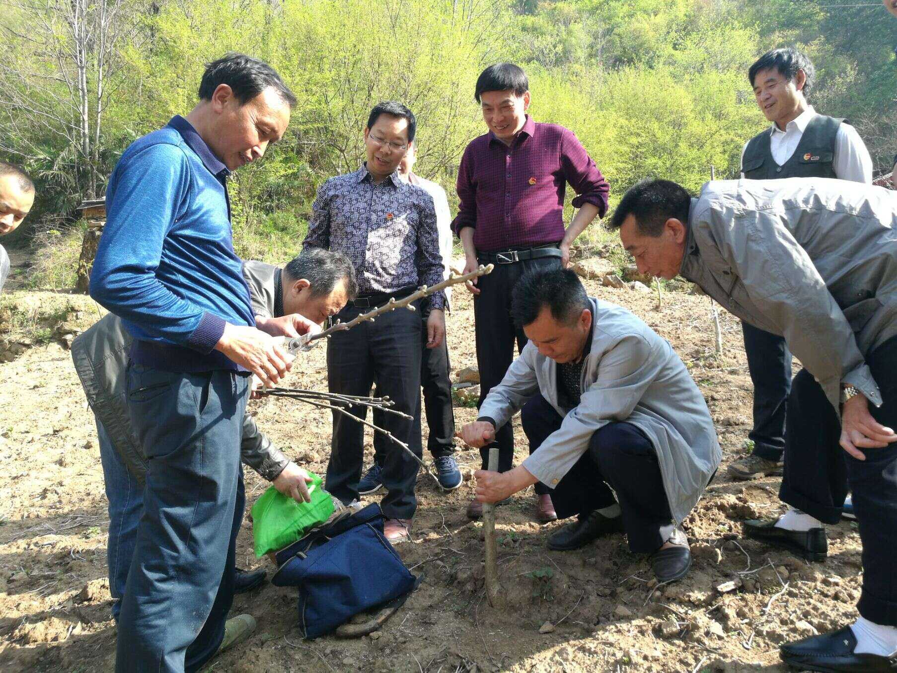 佛坪縣：“四強(qiáng)四促”促脫貧成果鞏固提升