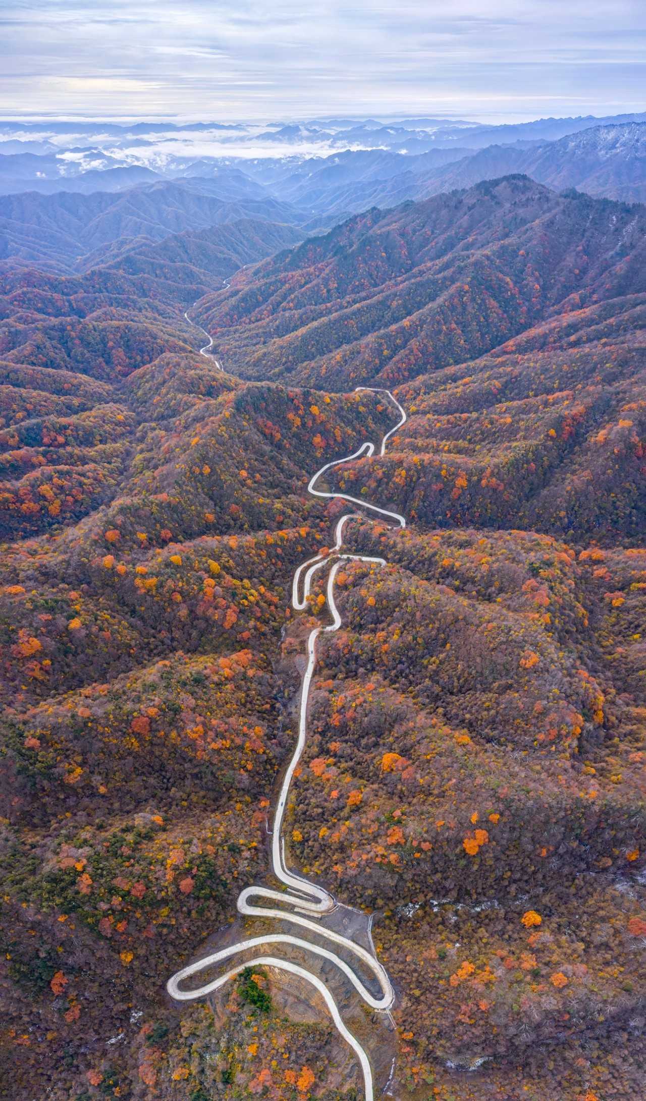 陜西留壩縣:一場(chǎng)紅葉盛宴的絕美樂(lè)章拉開(kāi)帷幕