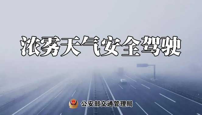 多地有大霧，安全駕駛提示速收好！ | 預警