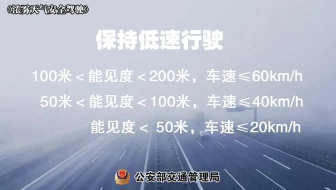 多地有大霧，安全駕駛提示速收好！ | 預警