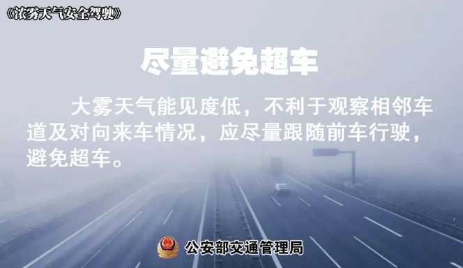 多地有大霧，安全駕駛提示速收好！ | 預警