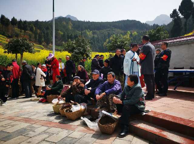 勉縣新鋪鎮(zhèn)漩水坪村觀花活動(dòng)拉開序幕