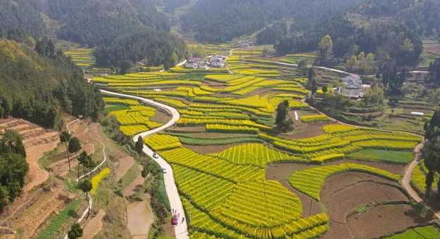 藏不住的梯田風(fēng)光！漢中媒體采風(fēng)團(tuán)走進(jìn)勉縣新鋪鎮(zhèn)漩水坪村