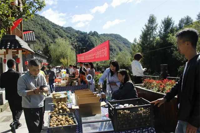 又是一年豐收時，留壩縣第四屆農(nóng)民豐收節(jié)今日正式開幕！