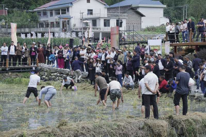 慶豐收，促和美 | 略陽縣第六屆中國農(nóng)民豐收節(jié)開幕