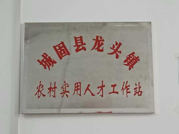 龍頭鎮(zhèn)：“三強(qiáng)三優(yōu)”厚植“人才沃土”   助推鄉(xiāng)村振興