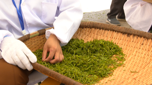 城固舉行第二屆茶農(nóng)豐收節(jié)暨全民飲茶活動