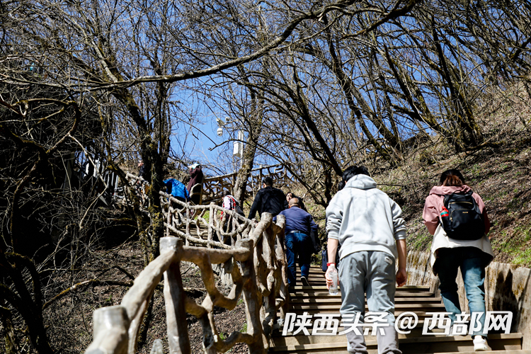 生態(tài)高顏值·發(fā)展高質(zhì)量｜云端仙境 四季可賞 漢中龍頭山風(fēng)光無限好