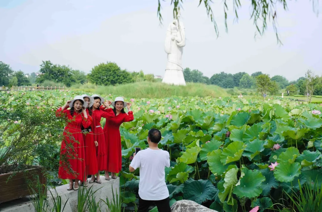 20多家中省媒體聚焦！重點關(guān)注漢中生態(tài)畫卷→