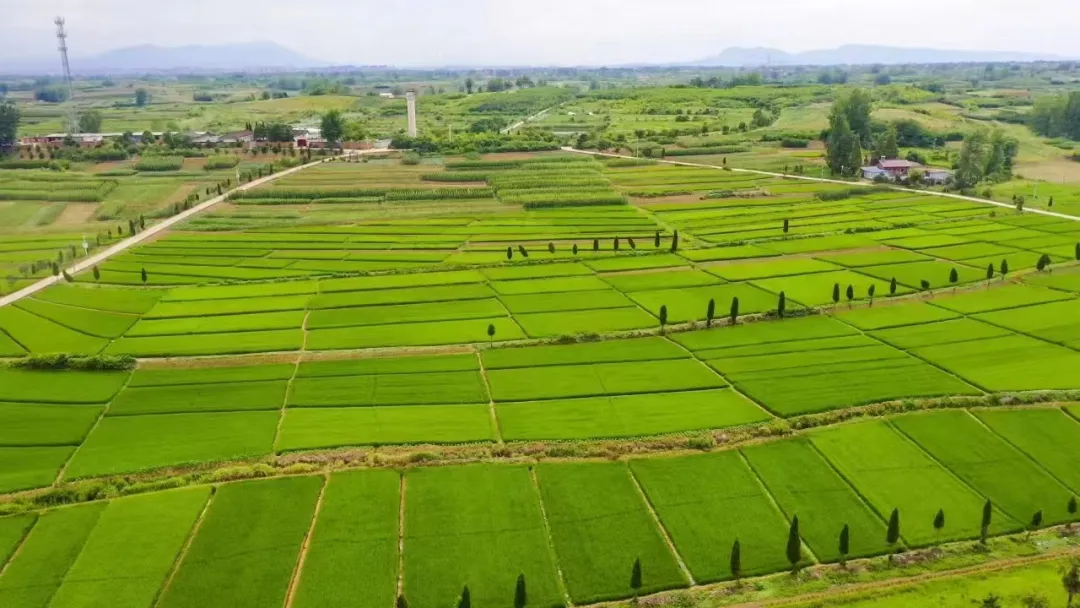 漢臺(tái)區(qū)徐望鎮(zhèn)：繪就鄉(xiāng)村和美畫卷