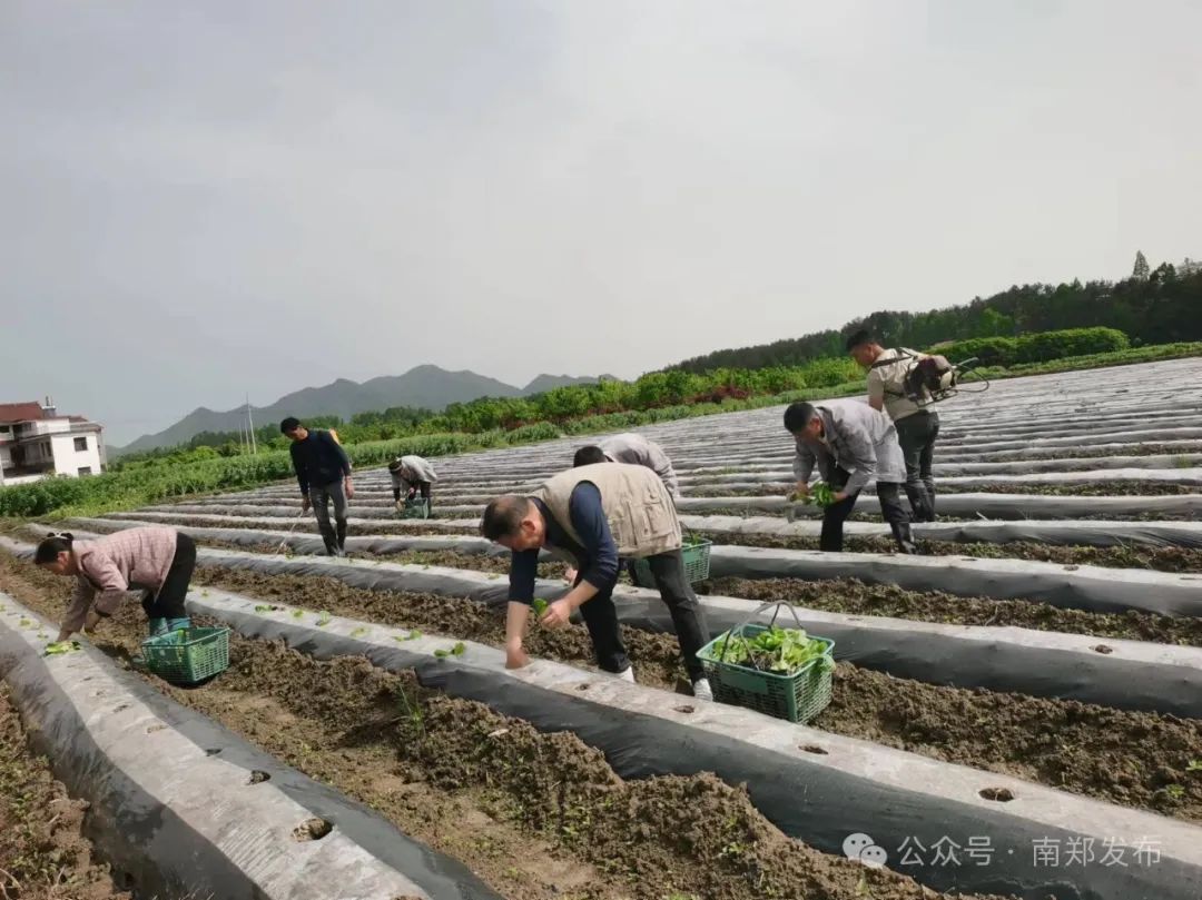 漢中這些地方，藏著令人向往的滿分初夏時光！