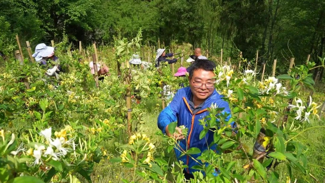 漢中這些地方，藏著令人向往的滿分初夏時光！