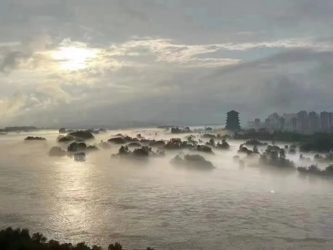 視覺漢臺 | 煙雨朦朧 油畫漢臺