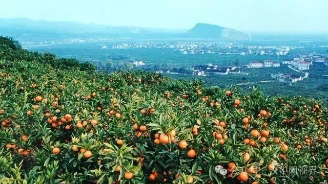 李振峰：仰望寶山