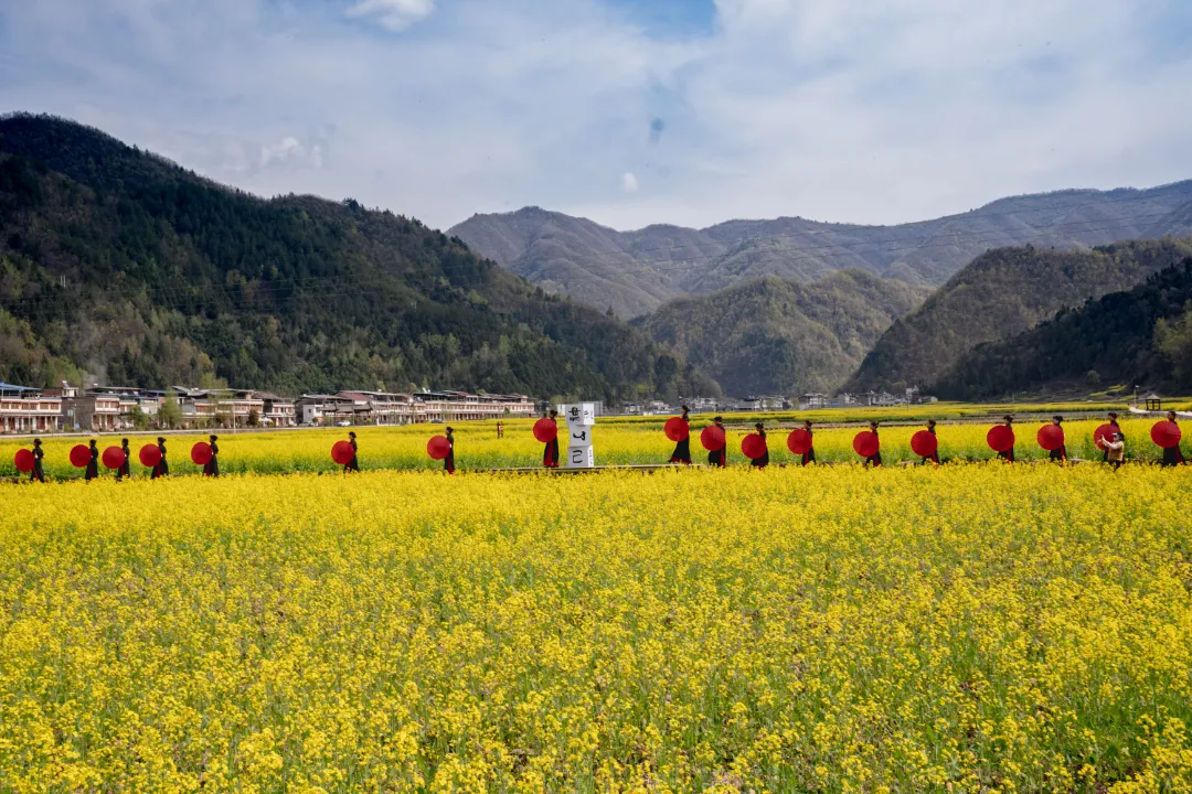 2025漢中鎮(zhèn)巴春日盛宴，解鎖油菜花海文旅新玩法！