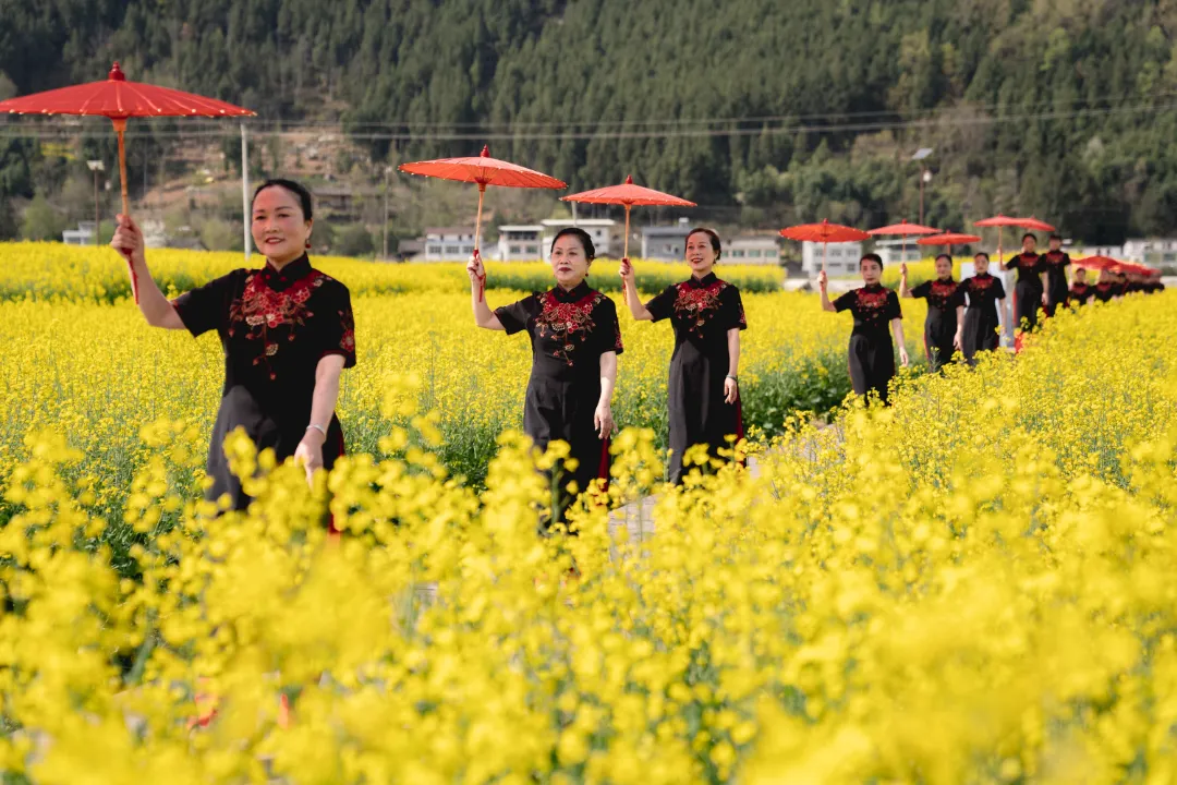 2025漢中鎮(zhèn)巴春日盛宴，解鎖油菜花海文旅新玩法！