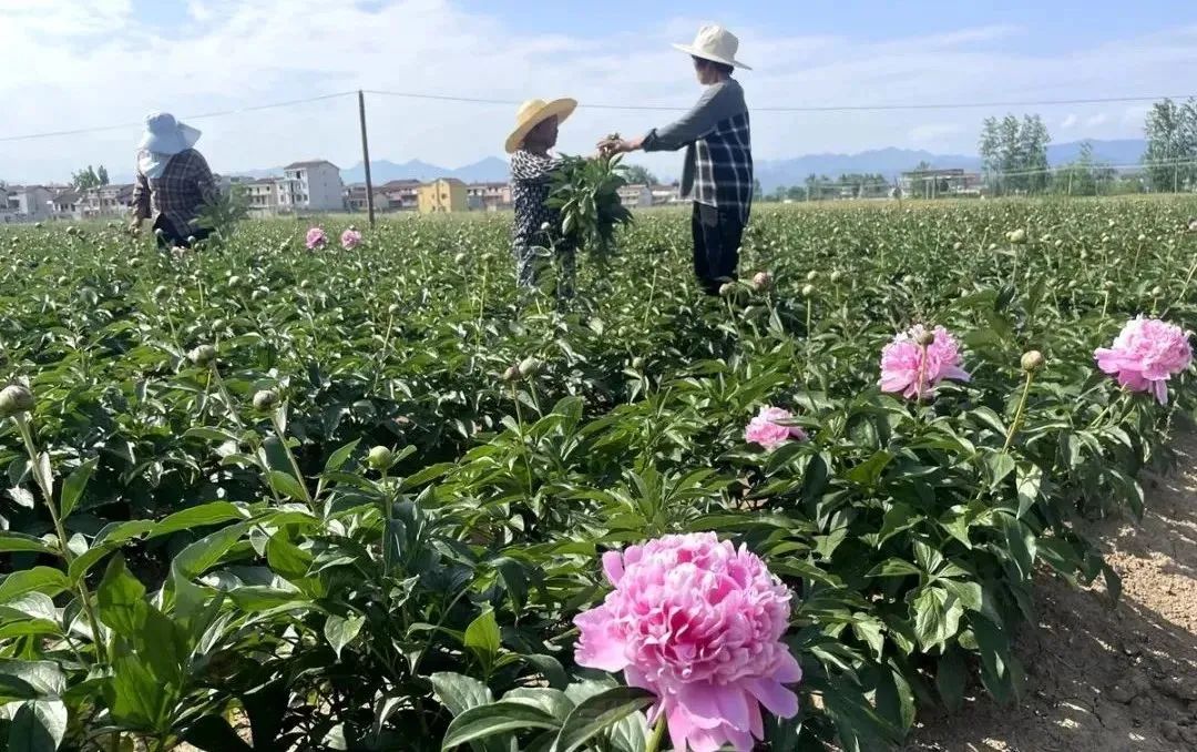 漢中這些地方，藏著令人向往的滿分初夏時光！