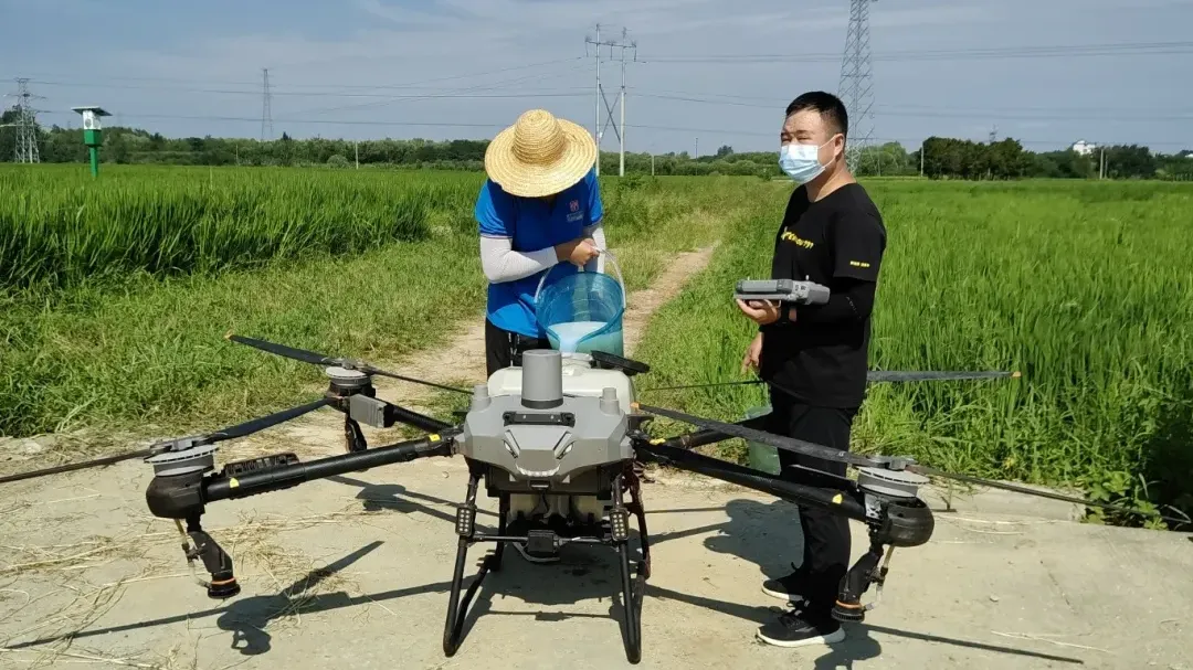 漢臺：5萬余畝稻田完成無人機“飛防”作業(yè)