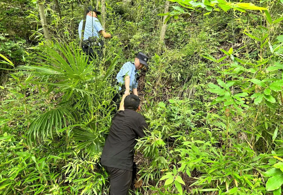 小伙任性離家出走，漢中民警深山尋回